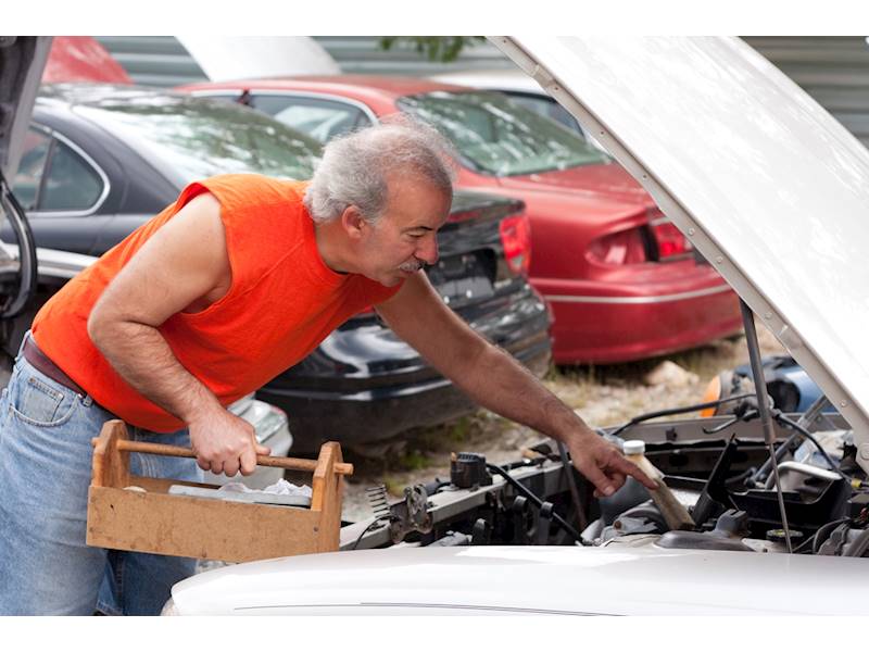 50 year old Auto Salvage Business for sale in Greater St. Louis Area