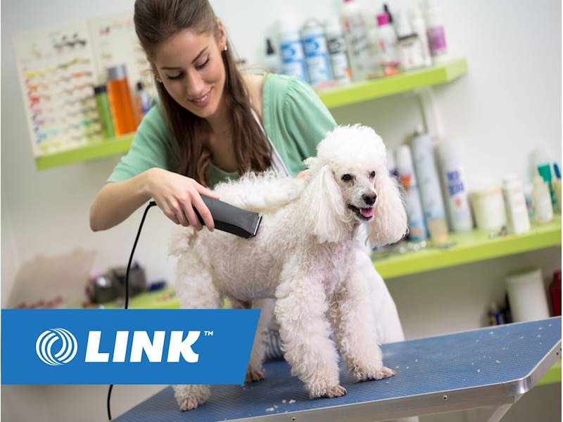 Top Dog Grooming Business For Sale  The ultimate guide 
