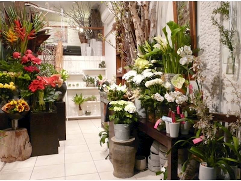 Shops for sale noosa Shops for sale noosa