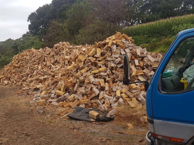 Firewood Supplies Price Cut By 50k To Sell For Sale In Tauranga