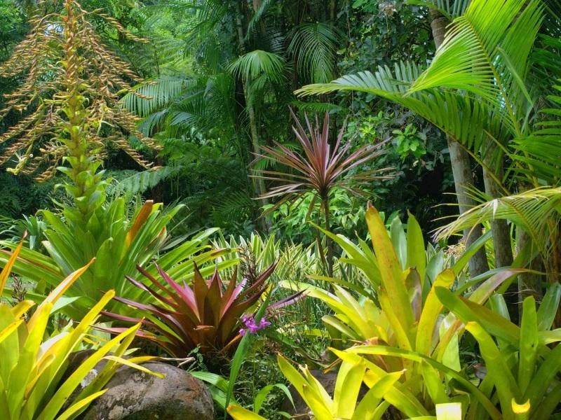 Melbourne's Largest Tropical Nursery (Freehold) Wholesale Business