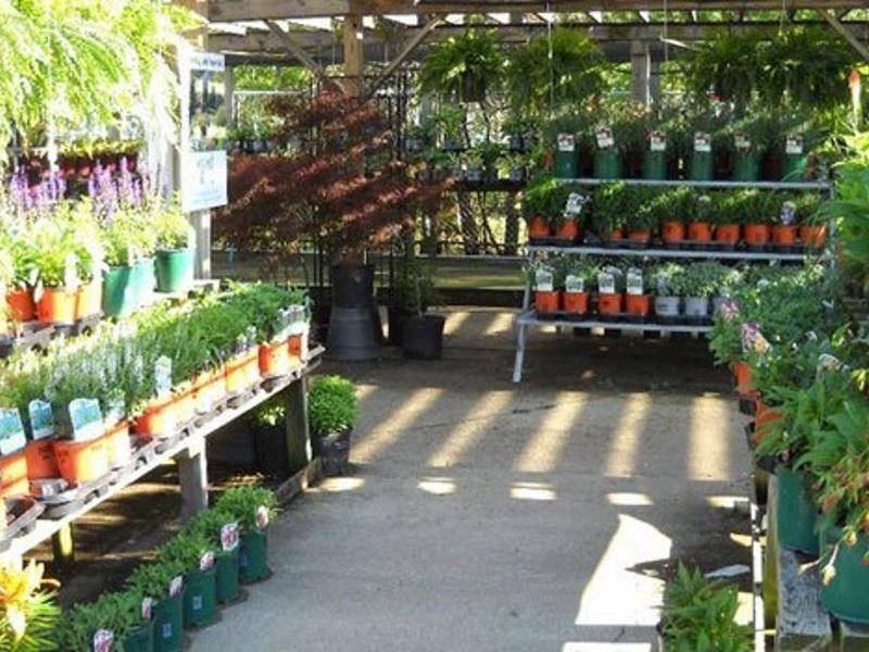 UNDER OFFER GARDEN & BUILDING SUPPLIES STORE 500,000 (15013) for