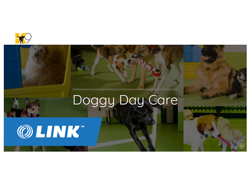 Club K9 Hobart & Kingston leading dog daycare and training school